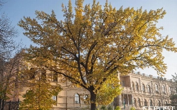 Kuzning so‘nggi ish haftasida ob-havo qanday bo‘ladi?