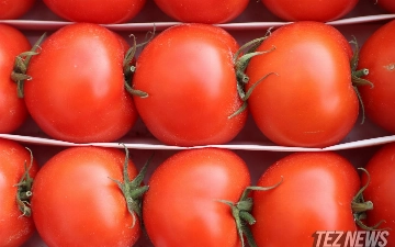 В Узбекистане рекордно подорожали помидоры