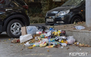 В Ташкенте выявили более 6 тысяч случаев выброса мусора в неположенном месте