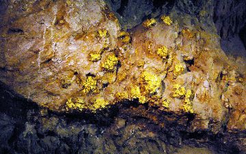 Мурунтау признан самым крупным рудником по добыче золота в мире
