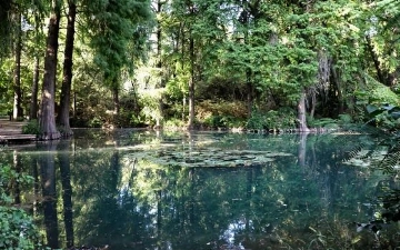 Botanika bog‘ida velosiped va samokatlar harakatlanishi to‘xtatiladi