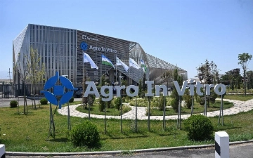 AgroInVitro: новая технология выращивания саженцев внедрена в Узбекистане