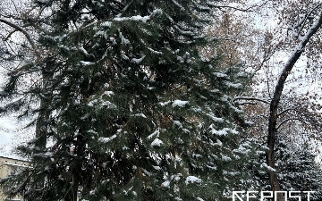 Oltita viloyatda qor ko‘chish xavfi eʼlon qilindi