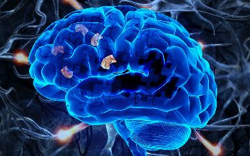 Ученые разработали новый способ ранней диагностики болезней мозга: заболеваний Паркинсона и Альцгеймера