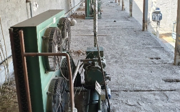 Farg‘onada 1,4 mlrd so‘mlik elektrdan noqonuniy foydalanildi