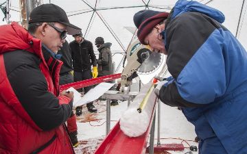 Ученые нашли неизвестные науке вирусы во льдах