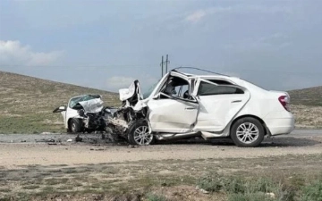 За полгода в Узбекистане произошло почти 2,3 тысячи ДТП