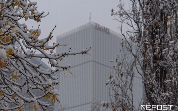 Воздух в Ташкенте на 24 декабря: уровень загрязнения превысил норму в три раза