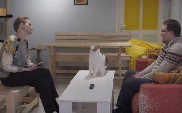 Время для милых новостей: кот Слоник стал звездой сети, узнайте причину 