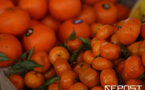 Узбекистан потратил почти $16 млн на закупку мандаринов