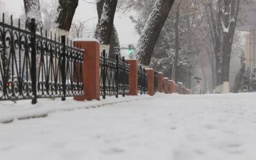 Туман, снег и мороз: синоптики рассказали, какой погоды стоит ждать узбекистанцам в начале следующей недели