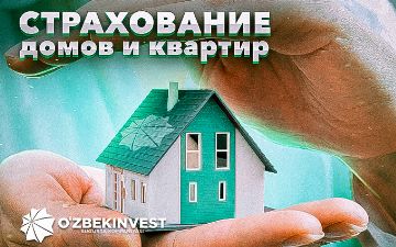 Подкаст «Узбекинвест»: страхование домов и квартир
