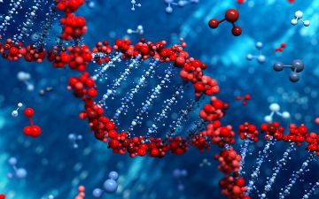 Новое исследование показало, что ДНК человека уникально всего лишь на 7%
