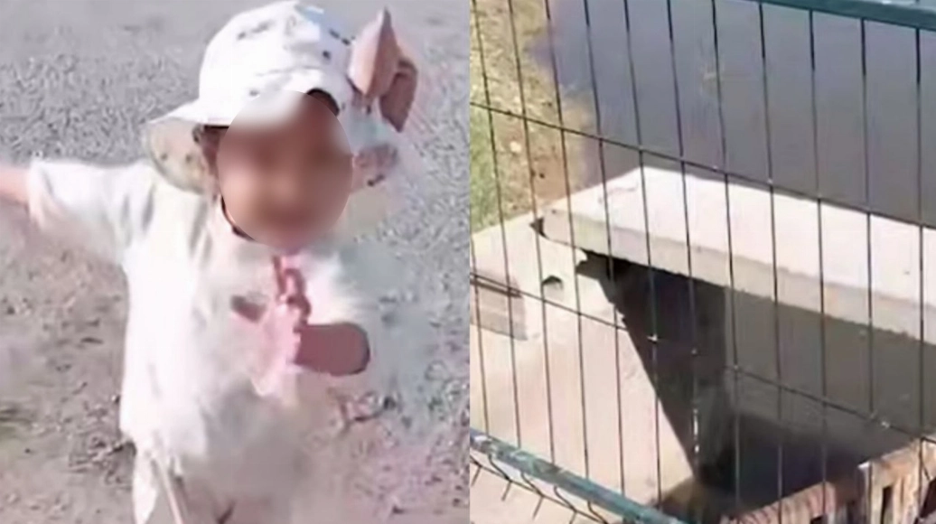 Кадры из видео