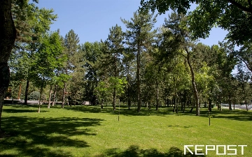 Узбекские депутаты приняли закон об экологически чистых территориях — что он предусматривает