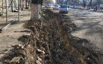 В одном из районов Ташкента выкопали корни больших деревьев — фото