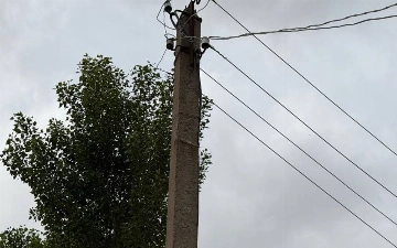 В Ташобласти выявили ферму, расхитившую электричество почти на полмиллиарда сумов