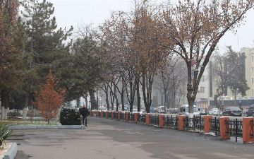 В Узгидромете прокомментировали состояние воздуха в Ташкенте 