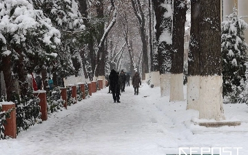 Ташкентцев призвали быть осторожными на улице из-за непогоды