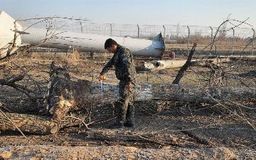 В Сергелийском районе Ташкента незаконно вырубили 15 деревьев
