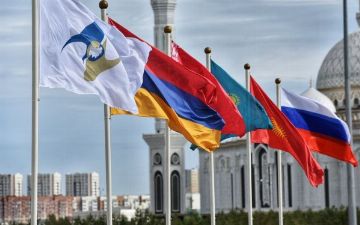 Совет ЕЭК рассмотрел вопрос о статусе Узбекистана в ЕАЭС