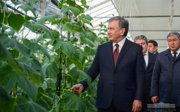 «Рузиев испортил, теперь это ощущается», - президент об экс-хокиме Кашкадарьинской области