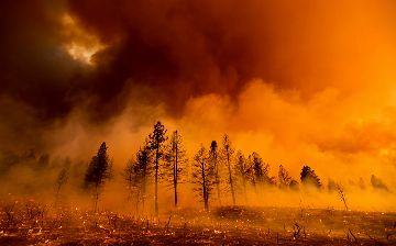 Жара в Калифорнии вызвала масштабные пожары, эвакуировали почти 3 тысячи человек - видео