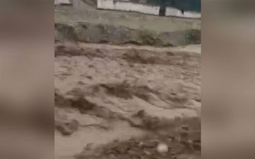 В Джизаке снова сошли селевые потоки — видео