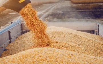 Россия предложила ограничить экспорт зерна всем странам ЕАЭС