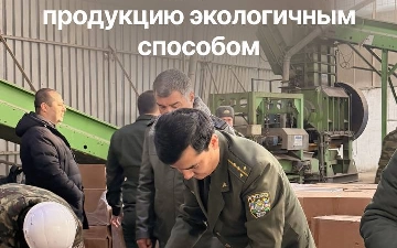 Таможенный комитет Узбекистана уничтожил контрабандную продукцию экологичным способом