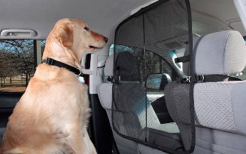 Как правильно и безопасно перевозить животных в машине