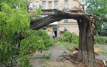 В Ташкенте ожидается ураган с дождем