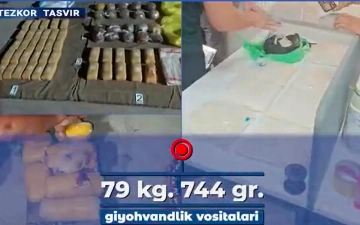 Rossiya, Tojikiston va Afg‘onistondan olib kelingan qariyb 80 kg narkotik moddalar to‘xtatib qolindi