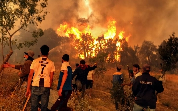 Лесные пожары в Алжире унесли жизни более 30 человек (видео)