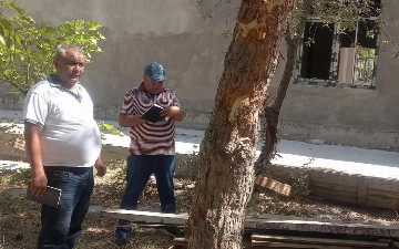 Buxoroda tibbiyot markazidagi daraxtlarni noqonuniy ko‘chirgan mansabdorlarga jinoyat ishi qo‘zg‘atildi