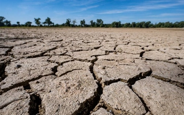 Из-за аномальной жары больше половины Европы накрыла засуха