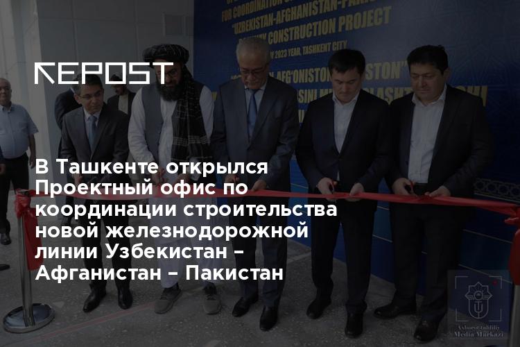 Линии узбекистана. Kosto line Узбекистан. Office Uzbekistan.