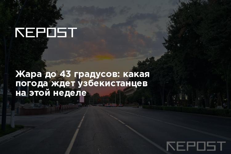 Жара до 43 градусов: какая погода ждет узбекистанцев на этой неделе
