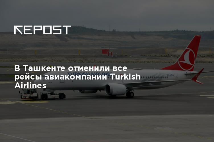 В Ташкенте отменили все рейсы авиакомпании Turkish Airlines