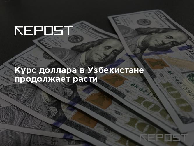 Курс доллара в Узбекистане продолжает расти