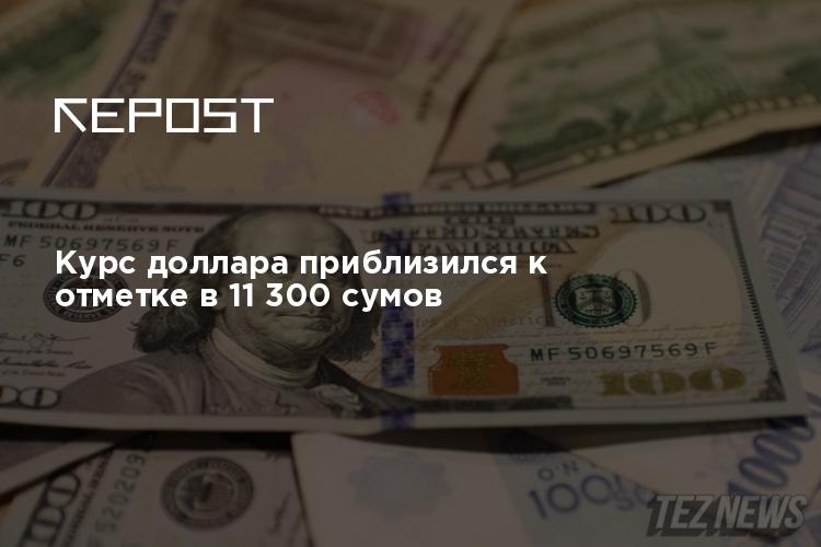 300 сум. Курс доллара в Узбекистане. Доллар курс Узбекистан 100$. Курс доллара 2017. Курс рубля в Узбекистане.