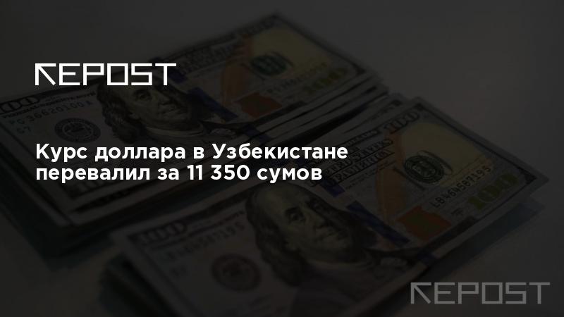 1100000 рублей в долларах. Курс доллара в Узбекистане. Доллар в Сумах. Доллар курс Узбекистан сегодня на сум. Dollar Kursi.